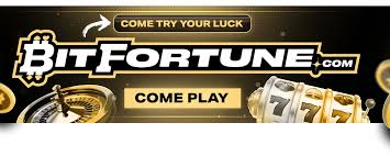 A Comprehensive Guide to Bitfortune Your Step-by-Step Tour