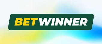 A Comprehensive Overview of BetWinner User Reviews