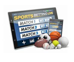 Betwinner A Casa de Apostas que Você Precisa Conhecer
