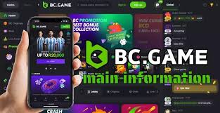 Exploring BC.Game Platform The Ultimate Gaming Experience